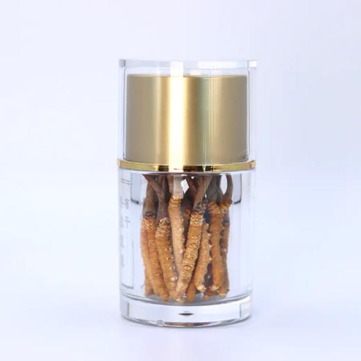 正安 冻干野生冬虫夏草 医馆严选虫体饱满未喷粉 青藏高海拔赞安原材 肺部咳嗽虚弱肾气 泡水煲汤商务长辈礼品 虫草【不可用券】【预售至4月8日发货】 商品图0