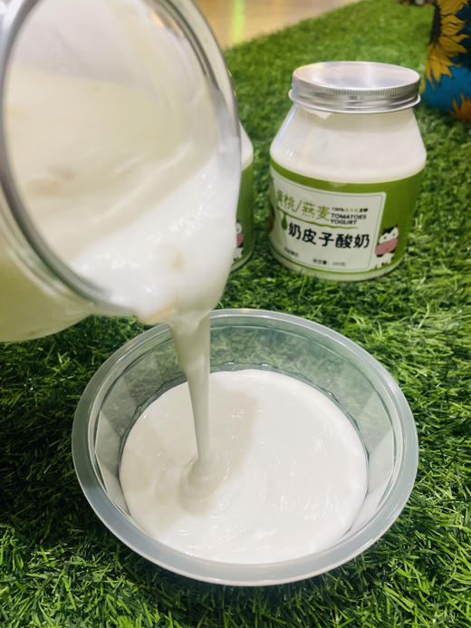 LD内蒙古奶皮子老酸奶 500g/罐 【新鲜现做，48小时内发出】无糖风味重新上线 商品图2