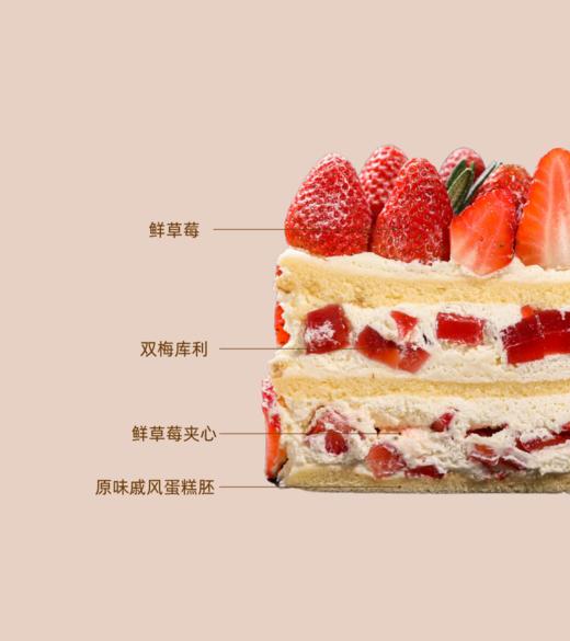 「4寸」香草草莓 商品图1