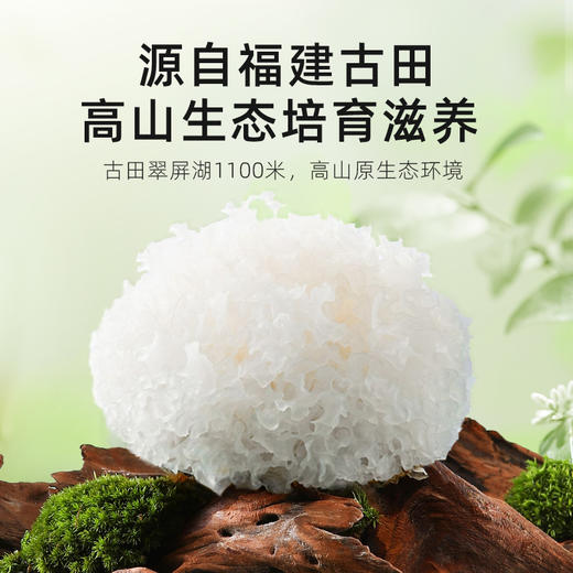 【杞里香精选古田丑耳银耳片35g、55g】糯耳可搭配皂角米桃胶百合莲子羹汤材料 商品图2
