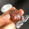 【黄精抱枣】口感软糯绵密 香气浓郁 九蒸九晒 手工制作！ 商品缩略图0
