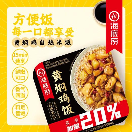 海底捞黄焖鸡饭自热米饭 187g 商品图2