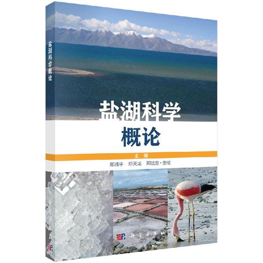 盐湖科学概论 商品图0