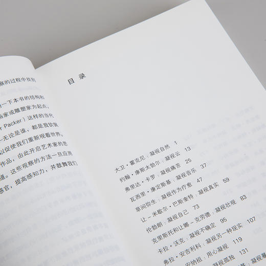 改变艺术的31种凝视  [英] 威尔·贡培兹 著 商品图8