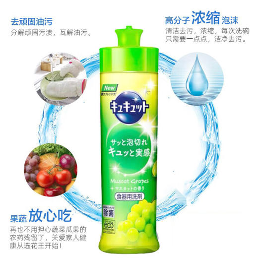 花王洗洁精葡萄香240ml/112458 温和配方 商品图1