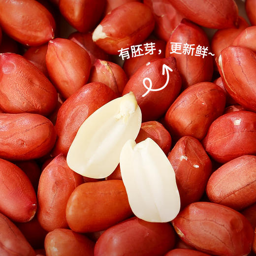 燕之坊 有机三井花生仁（立袋420g）原味去壳 红花生米 干货袋装 48小时发货 商品图2