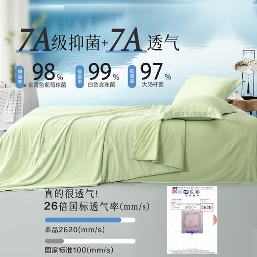 优选丨水星集团 百丽丝家纺 7A级凉感100%蚕丝被夏凉被空调被学生宿舍床品 商品图2