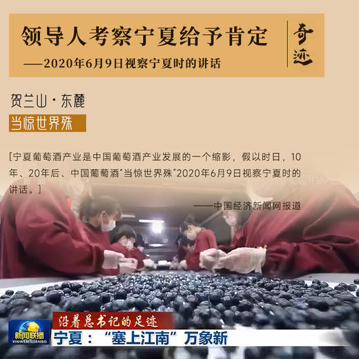 【国际马拉松官方指定用酒】奇迹酒庄·508红葡萄酒  中国葡萄酒第一镇 10个月橡木桶陈酿 14%vol 商品图6