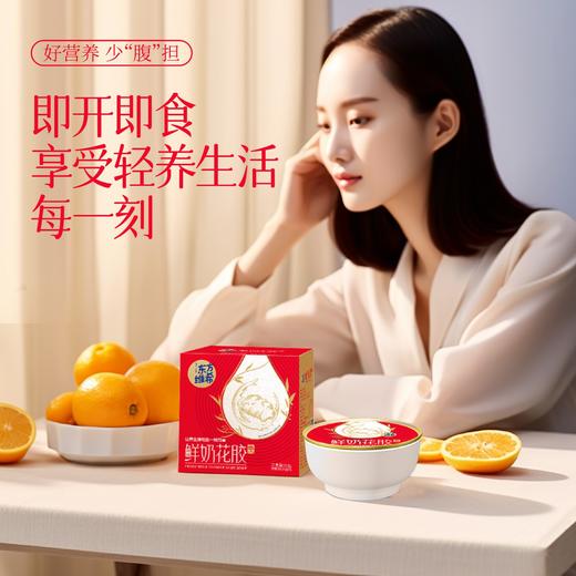 鲜奶花胶（家庭款） 商品图3