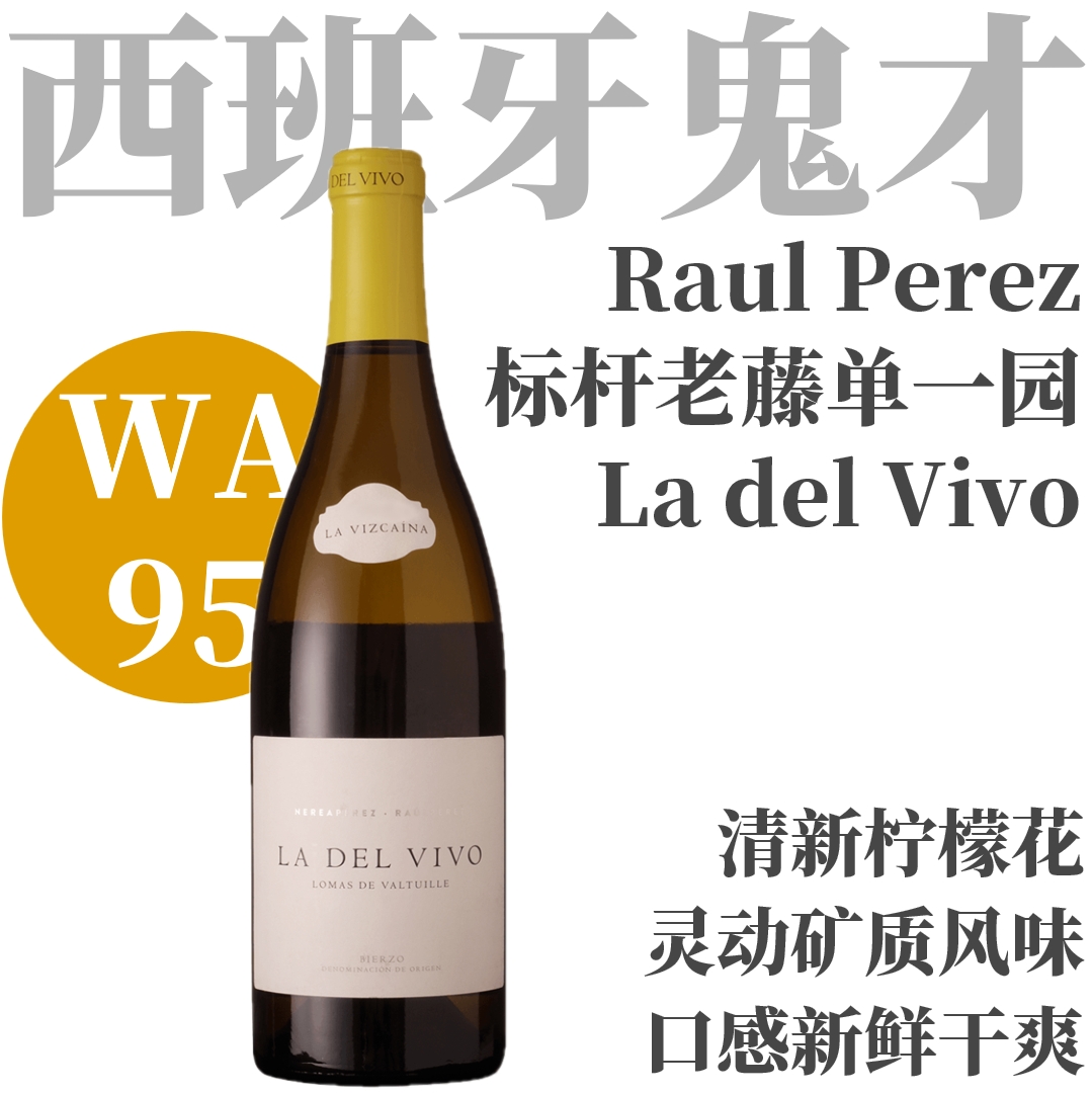 【WA95·圆润高矿名家标杆老藤单一园白】  2021 劳尔佩雷斯酒庄拉德尔维沃白葡萄酒  Raul Perez La Vizcaina La del Vivo, Bierzo