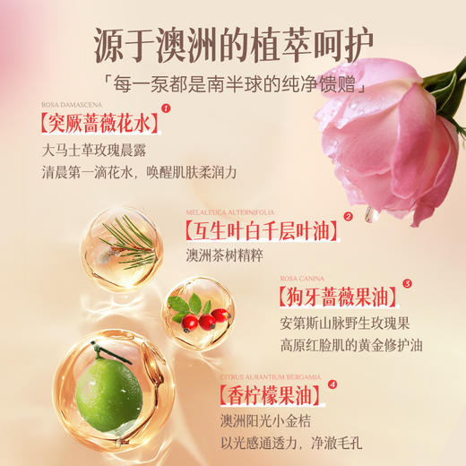 【跨境】Ausbelle澳思蓓 玫瑰慕斯洁面 100ml 商品图2