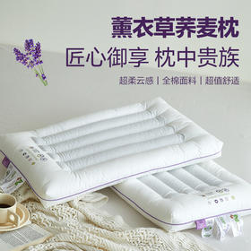 A类全棉草本荞麦枕  薰衣草荞麦护颈枕