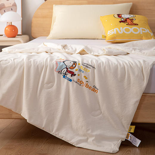 史努比大豆纤维被芯 亲肤大豆被 夏凉被 SNB07-310    XHR 商品图1