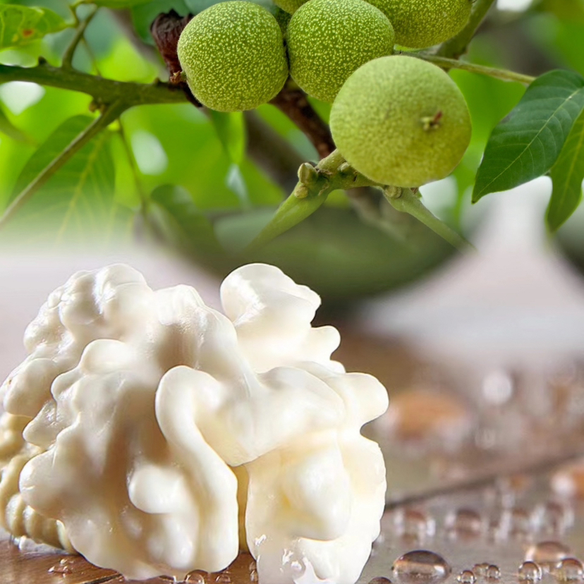 鲜核桃仁，自然成熟✅剥去青皮，露出乳白的桃仁，一口咬下去😘满口的清甜脆爽，液氮保鲜‼️鲜核桃如同初熟的果实，水分饱满✅口感鲜嫩✅家里有小朋友的一定要备上，开袋即食补脑营养又丰富。200克/份