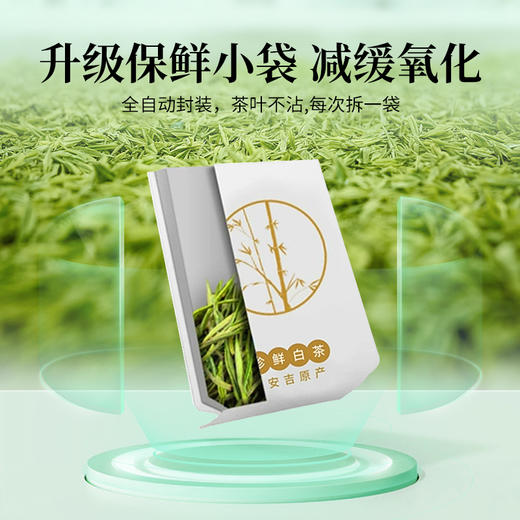 狮峰丨安吉珍鲜白茶 绿茶 特级 35g（3.5g*10袋）随行装 商品图4