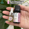 平衡小柅 保加利亚 大马士革玫瑰精油眼部 面部按摩精油 体验装2ml 商品缩略图5