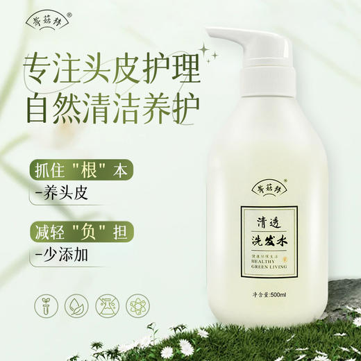 孝菇林清透洗发水 氨基酸植物源温和配方控油护发根【京东快递送货上门】 商品图0
