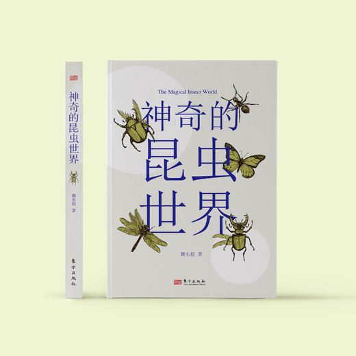 《神奇的昆虫世界》 商品图1