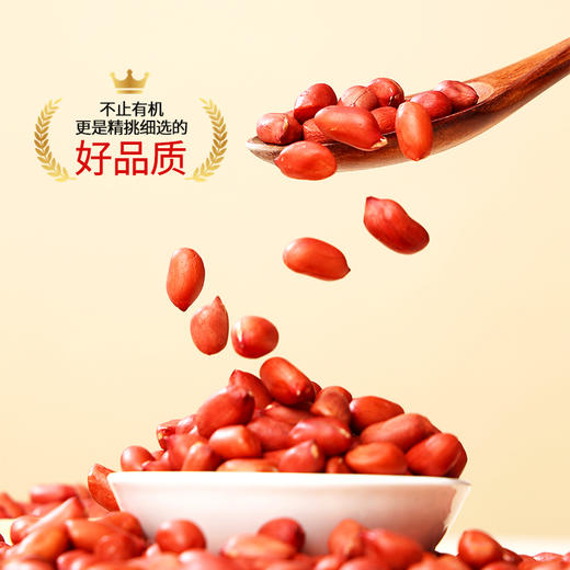 燕之坊 有机三井花生仁（立袋420g）原味去壳 红花生米 干货袋装 48小时发货 商品图1