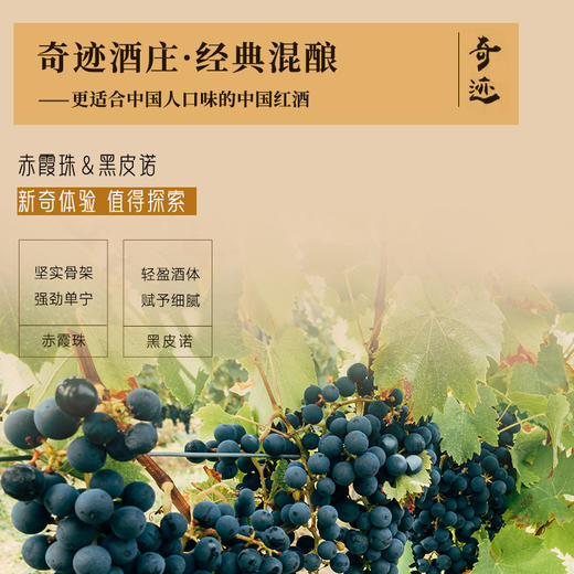 【国际马拉松官方指定用酒】奇迹酒庄·508红葡萄酒  中国葡萄酒第一镇 10个月橡木桶陈酿 14%vol 商品图7