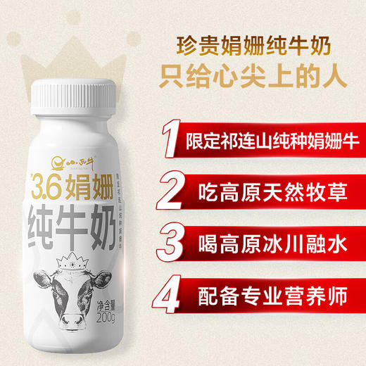 小西牛  娟姗纯牛奶  200ml*12瓶 商品图1