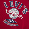 LEVIS 夏 大童小童 儿童童装卫衣 LVB-FW-N288 商品缩略图3