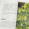 《神奇的昆虫世界》 商品缩略图7