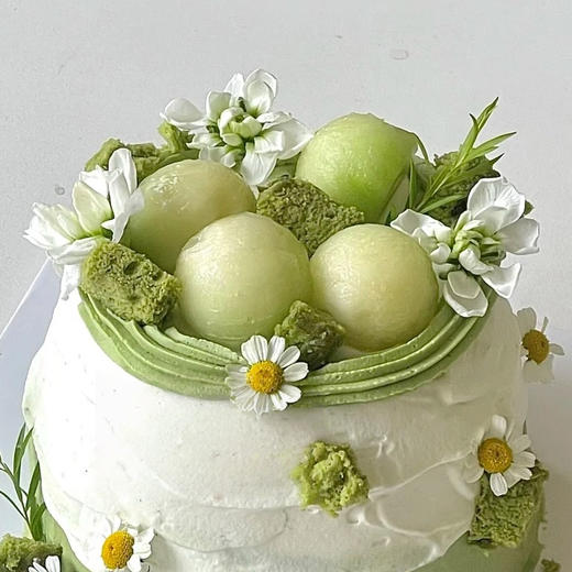 斑斓蜜瓜 商品图1