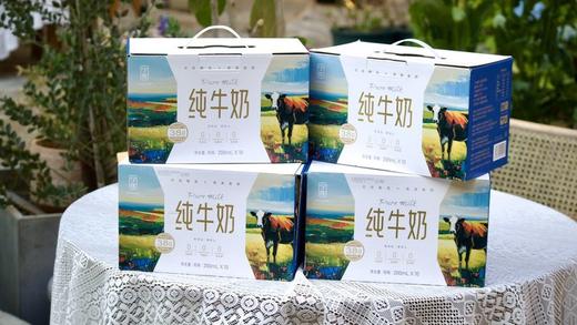 【牛奶热榜第一】【99元到手4箱】力荐  限时限量政府补贴款  买三赠一 到手4箱    宁优画系列之・孺子牛・3.8高蛋白纯牛奶 一款满是好评的纯牛奶 商品图1