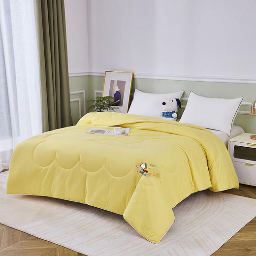 史努比卡通儿童加厚被芯 黄小豆软软被夏凉被 SNB07-36  XHR 商品图1