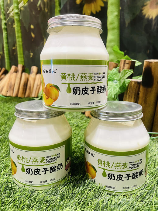 酸奶+奶皮子！内蒙古【手工奶皮子酸奶】100%纯天然 浓郁奶香 醇厚丝滑 超厚奶皮 纯手工制作 早餐下午茶的绝佳伴侣！ 商品图3