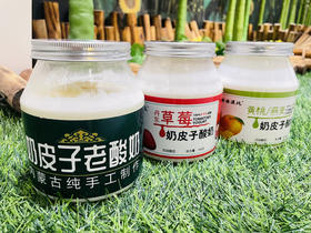 LD内蒙古奶皮子老酸奶 500g/罐 【新鲜现做，48小时内发出】无糖风味重新上线