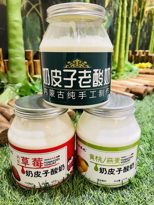 酸奶+奶皮子！内蒙古【手工奶皮子酸奶】100%纯天然 浓郁奶香 醇厚丝滑 超厚奶皮 纯手工制作 早餐下午茶的绝佳伴侣！ 商品图1