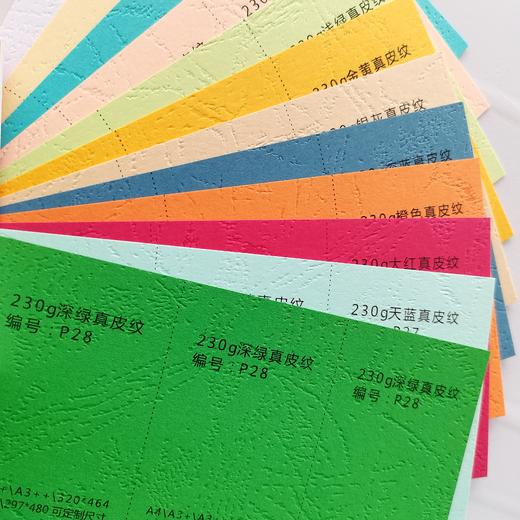 真皮纹封面纸230g 商品图0