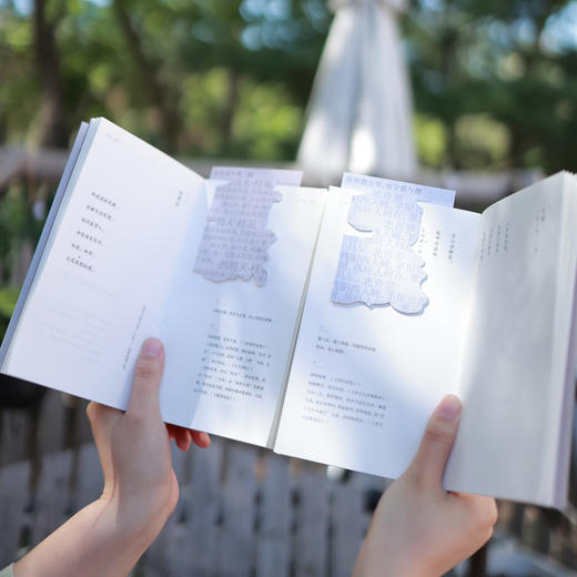 《何妨自恋：李商隐诗选李清照词选》  |  精装全两册 赠四张情诗笺纸 商品图3