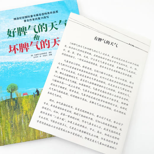 《好脾气的天气和坏脾气的天气》 商品图13