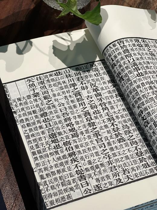 清光绪李光明庄的状元阁本《古文观止》 商品图6