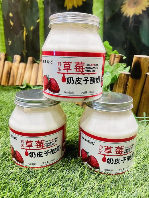 LD内蒙古奶皮子老酸奶 500g/罐 【新鲜现做，48小时内发出】无糖风味重新上线 商品图1