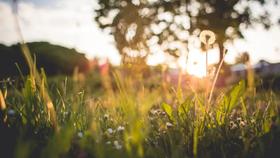 失眠一晚“老十岁”，不仅伤身还易癌 变！专家：1招沾床就睡，你一定要知道... 