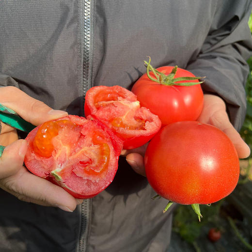 泾阳普罗旺斯番茄 净重4.5斤 商品图5