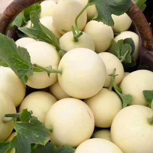 陕西阎良小籽甜瓜汁多瓤沙、脆甜爽口新鲜水果当季小香瓜 商品图3