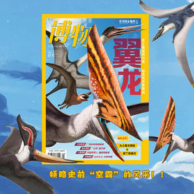 《博物》202505 翼龙：史上最强“风行者”  翼龙代表类群图 翼龙的餐桌鉴