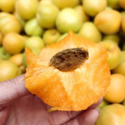 【2026】陕西大黄杏新鲜杏子水果酸甜 商品图7