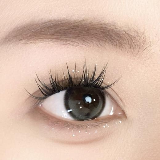 Sondercon品牌-小黑茶Plus 商品图5