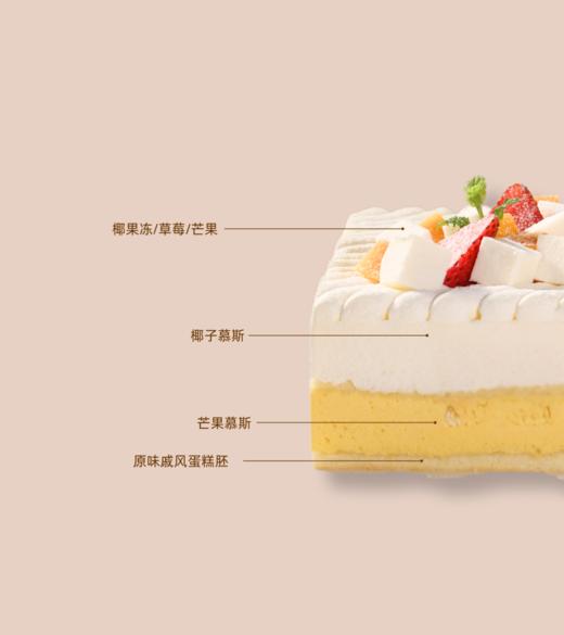 夏洛特椰芒 商品图1