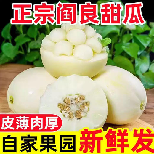 陕西阎良小籽甜瓜汁多瓤沙、脆甜爽口新鲜水果当季小香瓜 商品图1