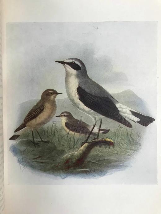 含藏书票！1914年 乡村的一年四季 12幅彩色20幅黑白插图 漆布精装大32开 商品图9