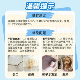 京鲜生泰国进口椰青 9个装巨无霸单果1100g+ 水果送礼 源头直发包邮