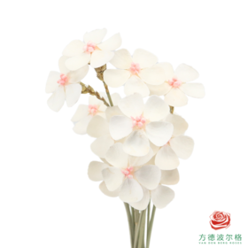 永生紫罗兰-粉芯 10支/扎