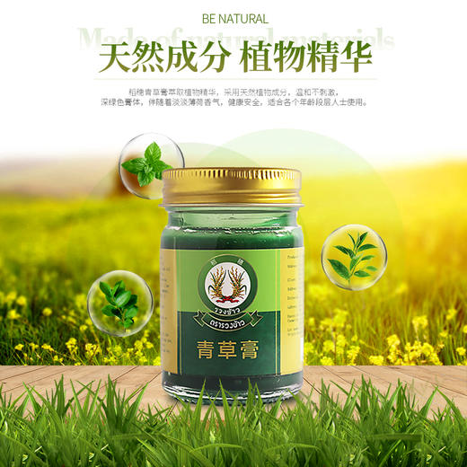 泰国稻穗青草膏 提神醒脑 蚊虫叮咬快速止痒 商品图0